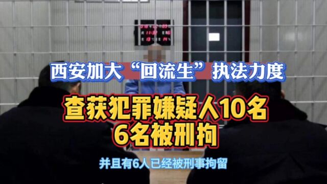 西安加大“回流生”执法力度,查获犯罪嫌疑人10名,6名被刑拘!