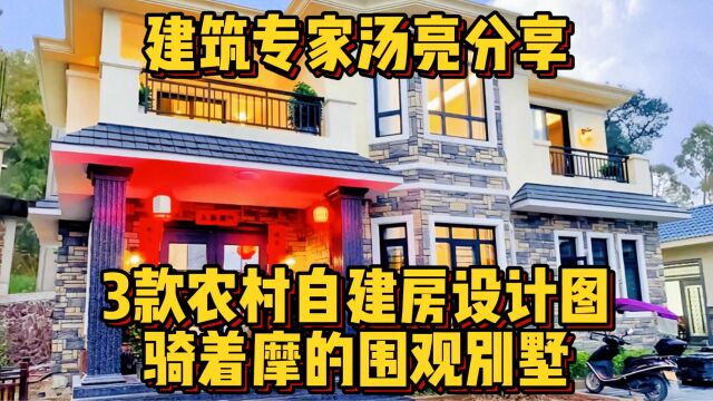 建筑专家汤亮分享:3款农村自建房设计图,骑着摩的围观别墅