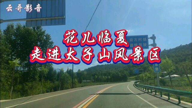 花儿临夏走进太子山风景区