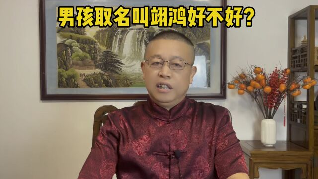 男孩子取名大全,给男孩子取名叫翊鸿好不好?专业起名改名