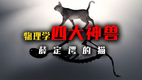 既死又活的状态，物理学四大神兽之薛定谔的猫_高清1080P在线观看平台_腾讯视频