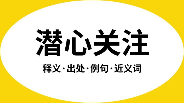 “潜心关注”是什么意思?