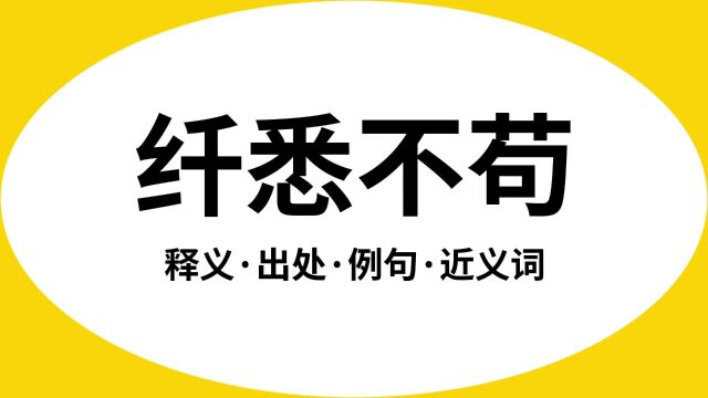 “纤悉不苟”是什么意思?