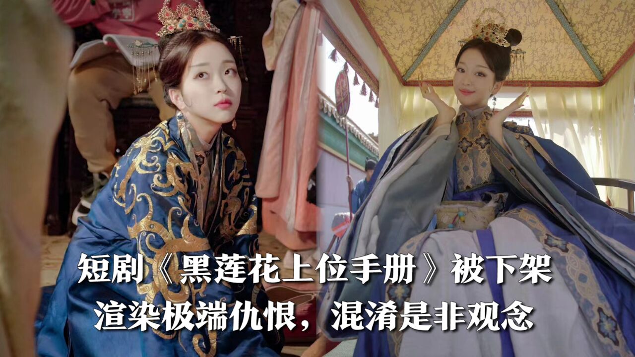 短剧《黑莲花上位手册》被下架，因渲染极端仇恨，背后老板咪蒙团队_腾讯视频