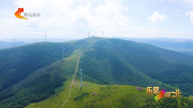 中国坝上草原欢乐季|张家口沽源第二届花卉旅游文化节开幕