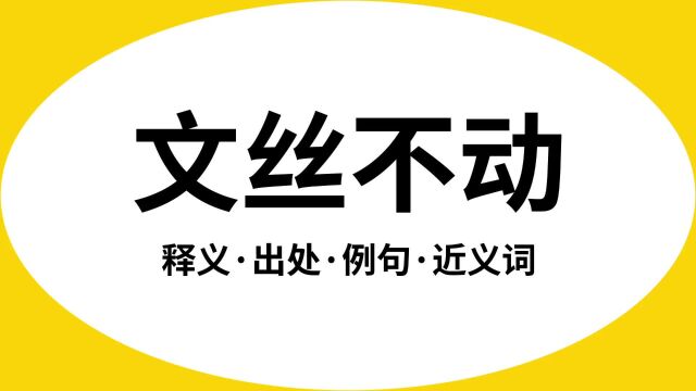 “文丝不动”是什么意思?