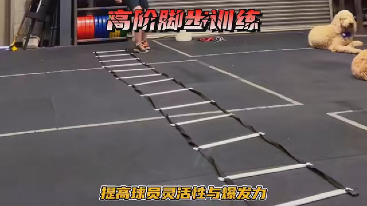 高阶脚步训练必备绳梯训练!如果你想变强,你懂的~#绳梯#脚步训练#灵活性训练_高清1080P在线观看平台_腾讯视频