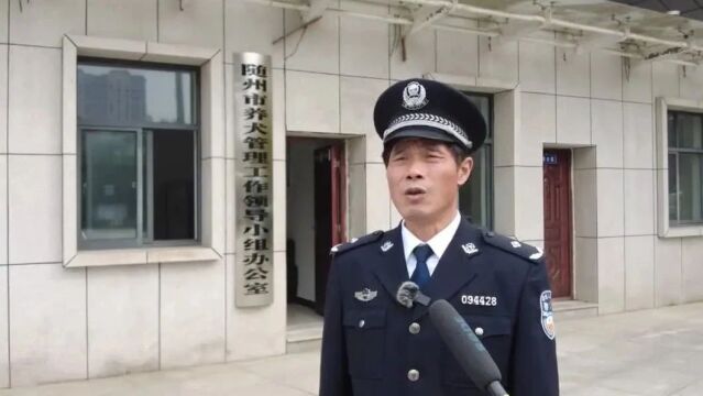 随城首次捕捉“流浪犬”65只!