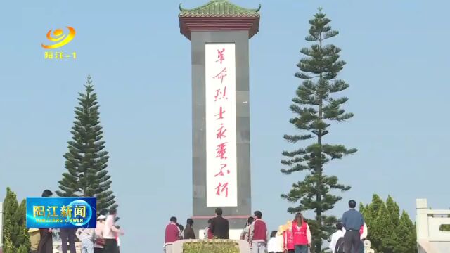 江城区开展爱国主题宣传教育活动