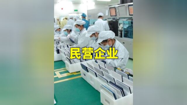 如果一切都回归公有制,民营企业全部消失,国家将会变成什么样?