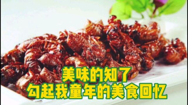 美味的知了,勾起我童年的美食回忆