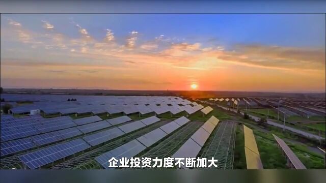 中国弹性地板行业市场现状及未来发展趋势