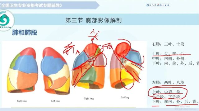 【放射医学(中级)】第七章影像解剖:胸部(上)