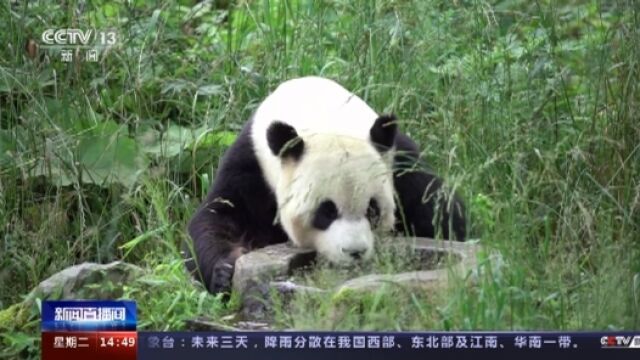 美丽中国建设取得显著成效 实现可持续自然教育传承