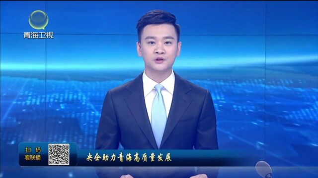 【央企助力青海高质量发展】中国华能:在乡村振兴中彰显担当