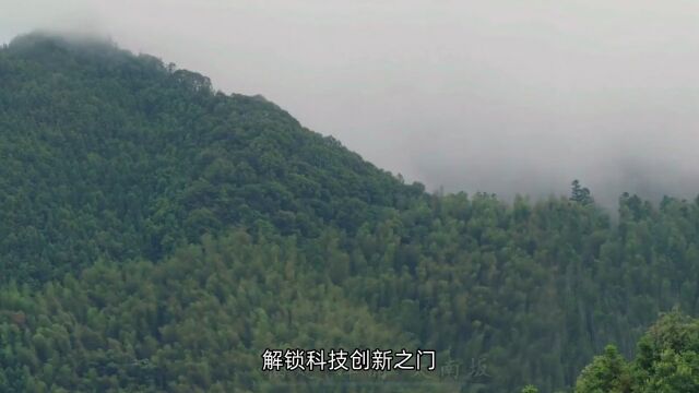 解锁科技创新之门定制你的技术梦想