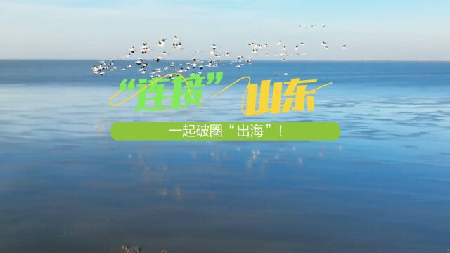 “连接”山东,一起破圈“出海”