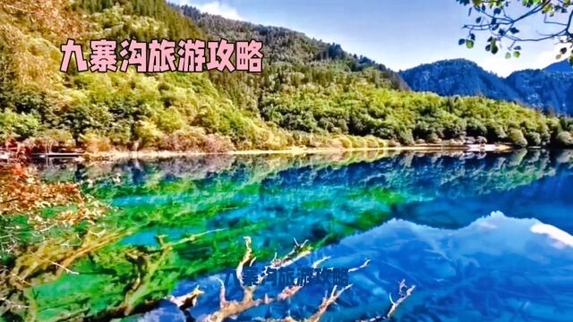 #九寨沟旅游攻略#多彩的九寨,不得不来