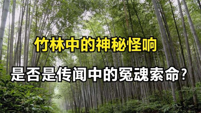 竹林中的神秘怪响,是否是传闻中的冤魂索命?真相让人无法言语