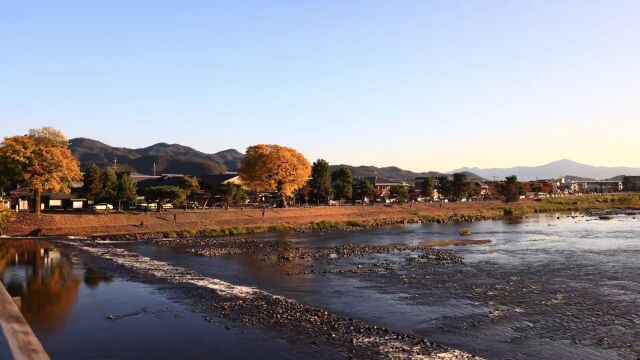 日本秋景红叶季 轻快的 唯美的 秘境之旅