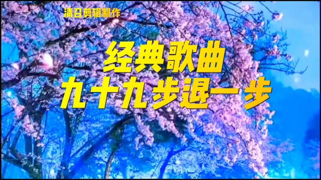 经典歌曲一九十九步退一步