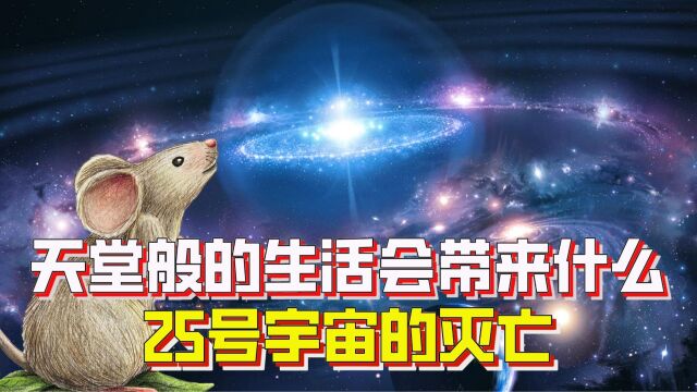 无忧无虑的生活会带来什么?25号宇宙,一个有趣的实验