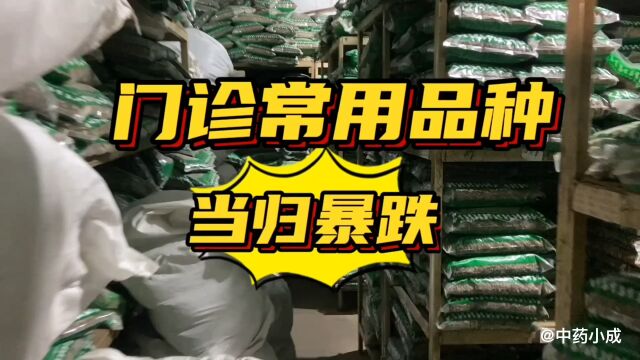 中医门诊常用品种 当归暴跌 常用品种行情