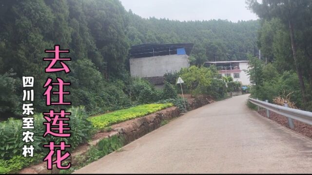 四川乐至县农村,去往莲花乡,山间风景很美