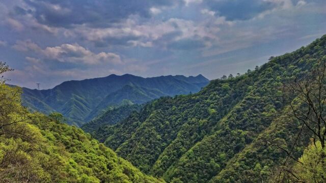 骑着我的本田小摩托上山啦,山顶的风景超级好看,后面有成片哦