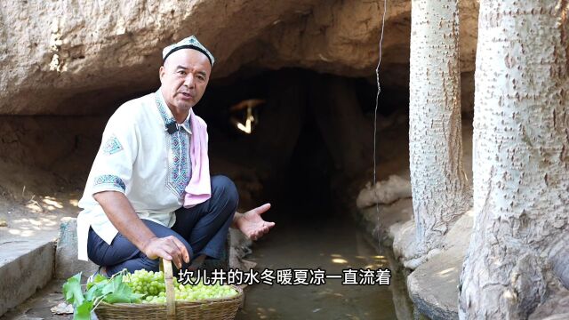 “我为吐鲁番代言”获奖作品展播