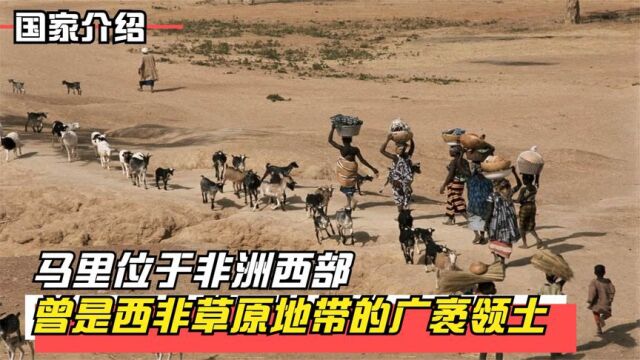 马里位于非洲西部,与多国接壤,曾是西非草原地带的广袤领土