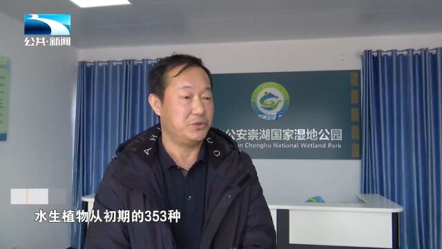 人与自然丨拍鸟人颜石:用镜头记录生态变化