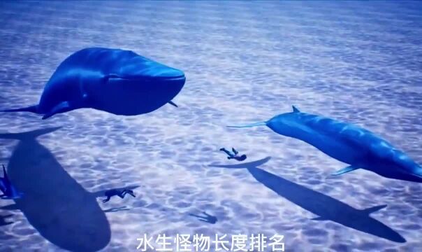 海洋怪物体型排名上