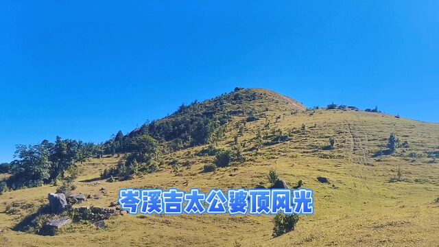 总会有一处风景可以治愈你的疲惫,带你去岑溪吉太公婆顶看风景