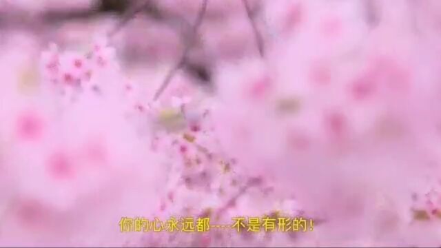 去年今日此门中,人面桃花相映红.人面不知何处去,桃花依旧笑春风,评论桃花会获得美貌和长寿事业