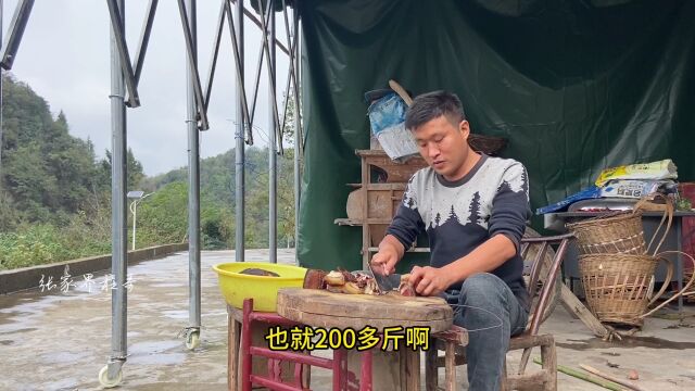 湘西腊肉吃过吗?农村小伙切一块,大家猜肥不肥