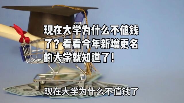 现在大学为啥不值钱了?看看今年新增更名的大学就知道了