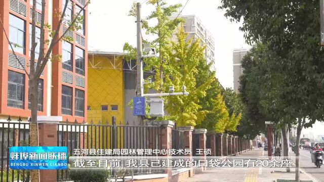 新时代新征程新伟业ⷥ𙸧揨šŒ埠 五河:建设口袋公园 成就居民微幸福