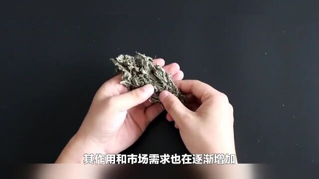 蒸汽眼罩伴侣艾草眼贴企业标准备案