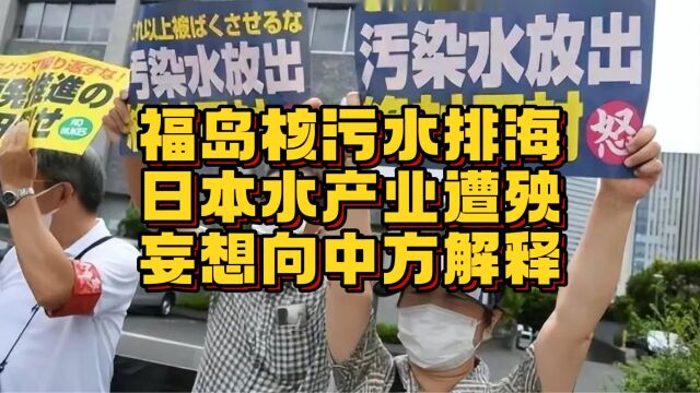 福岛核污水排海,日本水产行业“哀鸿遍野”,声称:想向中方解释