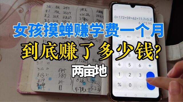 女孩摸蝉赚学费一个月,野生两亩地桐树,到底赚了多少钱?