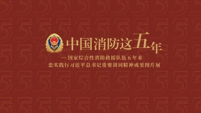 铭记训词不忘初心 五年奋进始终为民——那曲市消防救援支队举办“中国消防这五年”成果图片展