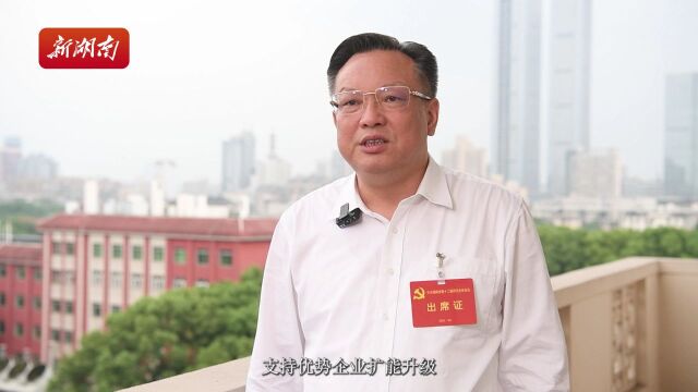 湖南高质量发展大家谈|雷绍业:建设标志性工程,加快构建富有湖南特色和优势的现代化产业体系