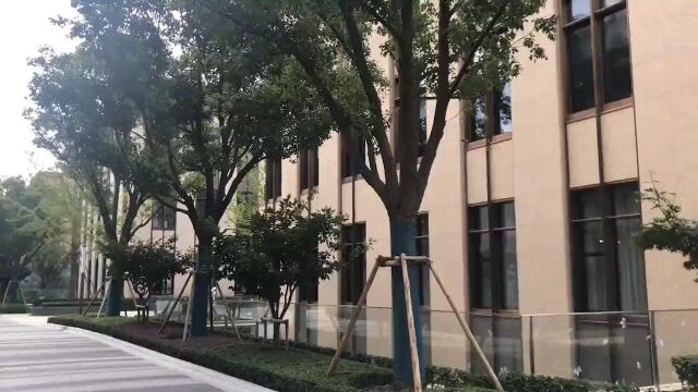 东郊中心 精装办公室出租 欢迎来电咨询