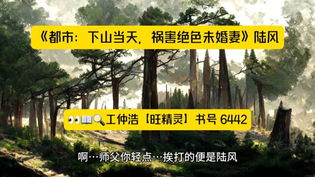 《都市:下山当天,祸害绝色未婚妻》陆风小说在线阅读◇完整版