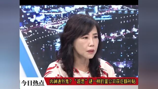 内神通外鬼?“超思”谜一样的蛋公司获巨额补贴