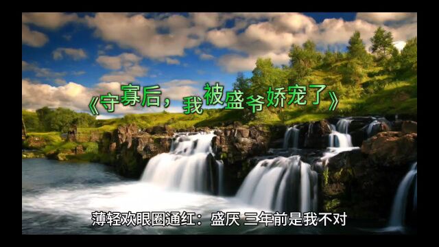 《守寡后,我被盛爷娇宠了》薄轻欢盛厌小说全文阅读已完结