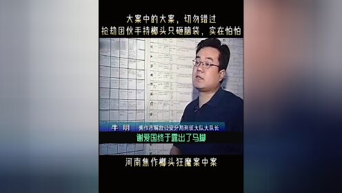 刑侦百案之，2003年，河南省焦作市榔头狂魔案中案侦破纪实 #刑侦百案