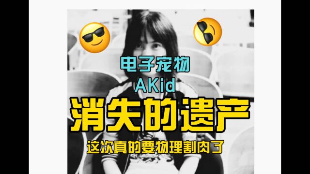 润日被活活饿死的公知王懿AKid,到底有没有钱?钱又去哪里了?