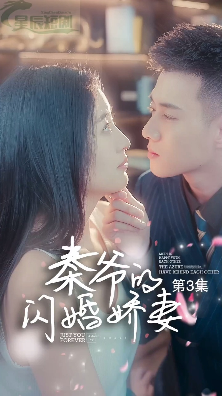 秦爷的闪婚娇妻全集